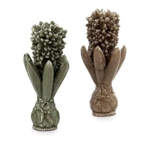 CANDELA GIACINTO 2 ASSORTITI